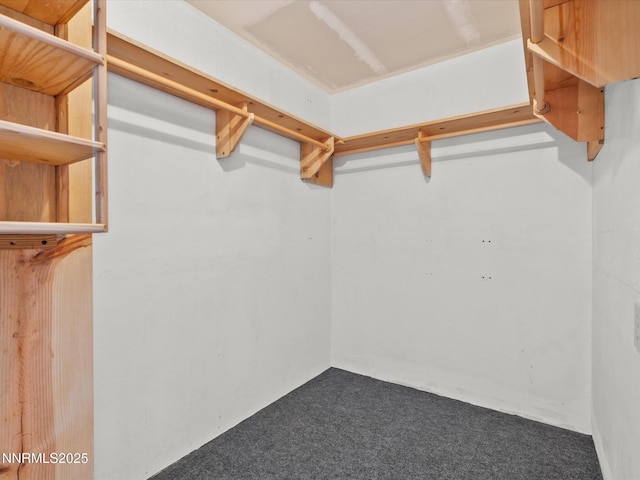 1344 Patricia Dr, Gardnerville, NV 89460 - walk in closet with carpet floors