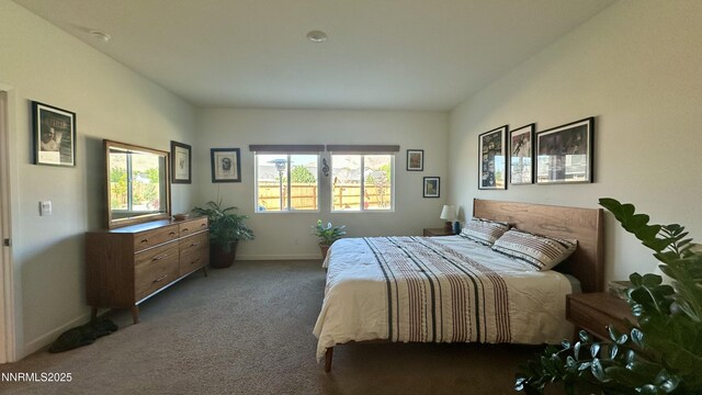 405 Schell Creek Dr, Dayton, NV 89403 - photo 6