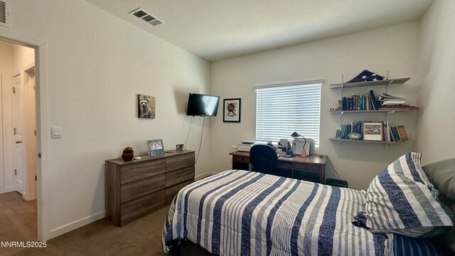 405 Schell Creek Dr, Dayton, NV 89403 - photo 10