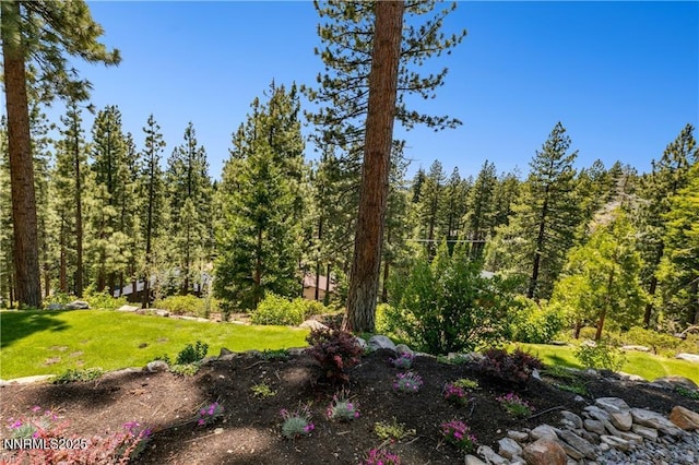 517 Driver Way, Incline Village, NV 89451 - view of grassy yard featuring a forest view