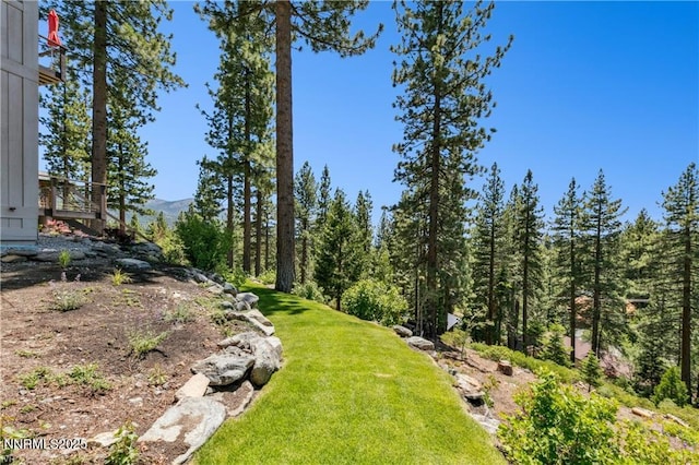 517 Driver Way, Incline Village, NV 89451 - view of green lawn