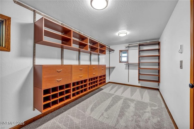 517 Driver Way, Incline Village, NV 89451 - spacious closet with carpet floors