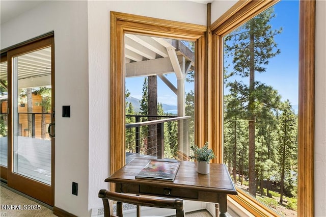 517 Driver Way, Incline Village, NV 89451 - view of doorway to outside