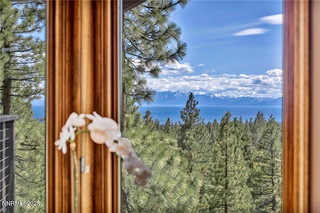 517 Driver Way, Incline Village, NV 89451 - detailed view of nearby water