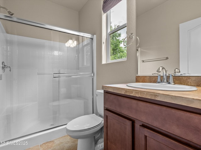 1105 Fiore Ct, Minden, NV 89423 - full bathroom with a stall shower, toilet, and vanity