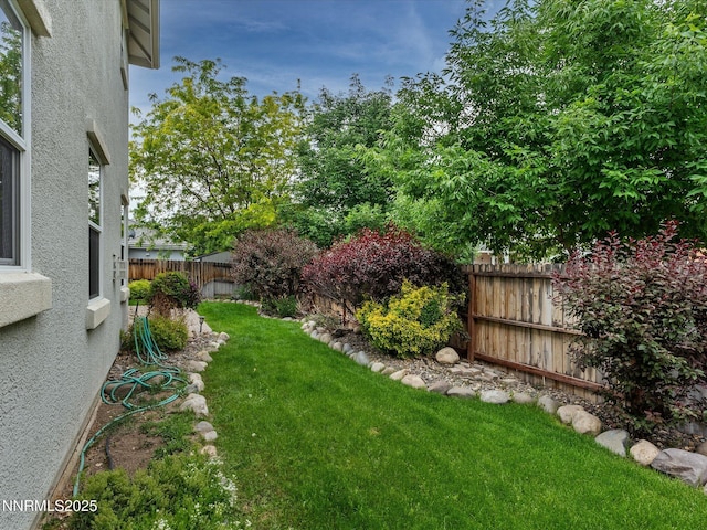 1105 Fiore Ct, Minden, NV 89423 - view of yard