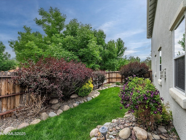 1105 Fiore Ct, Minden, NV 89423 - view of yard