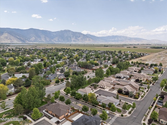 1105 Fiore Ct, Minden, NV 89423 - aerial view of residential area with a mountainous background