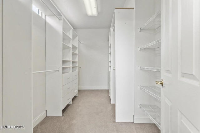 1239 Flintwood Dr, Carson City, NV 89703 - walk in closet featuring light colored carpet