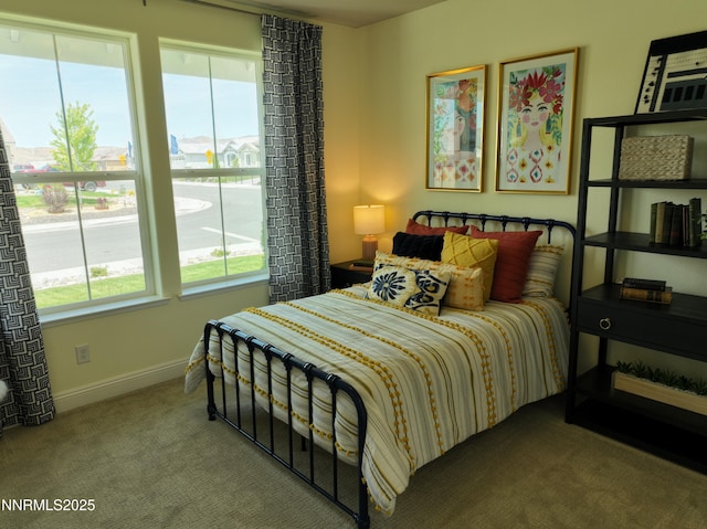 2350 Seaberry Dr, Sparks, NV 89441 - bedroom with carpet and baseboards