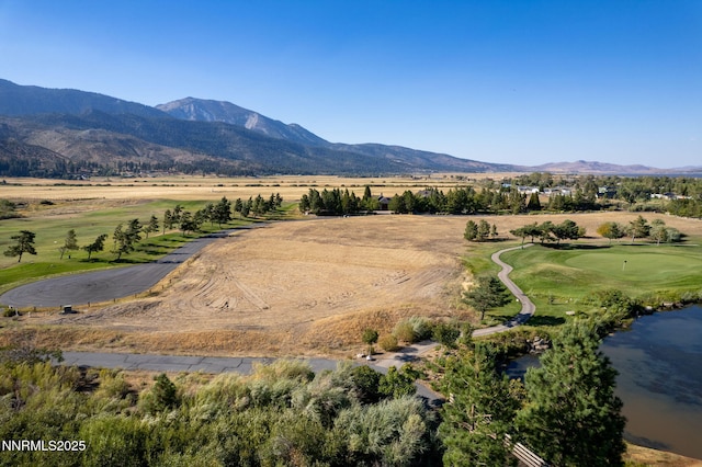 24 Willow Bend Ln, Washoe Valley, NV 89704