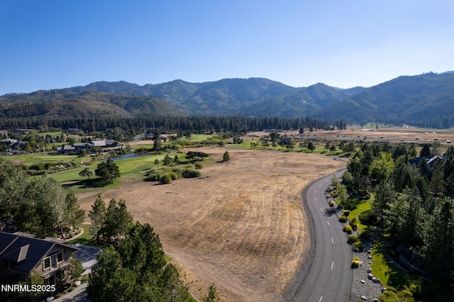 24 Willow Bend Ln, Washoe Valley, NV 89704