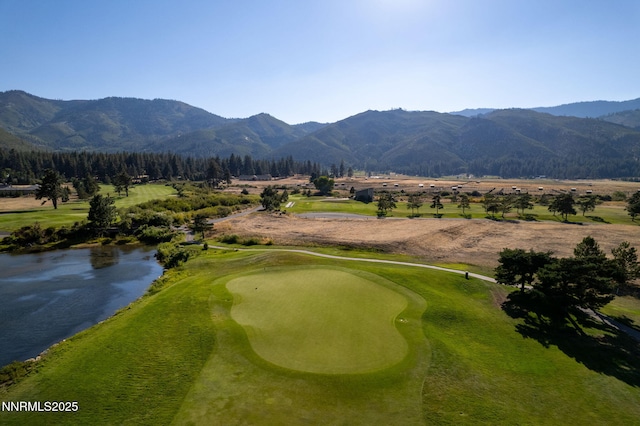 24 Willow Bend Ln, Washoe Valley, NV 89704
