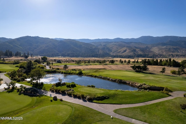 24 Willow Bend Ln, Washoe Valley, NV 89704