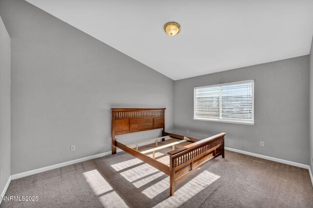 410 Fort Sutter Blvd, Fernley, NV 89408 - photo 33