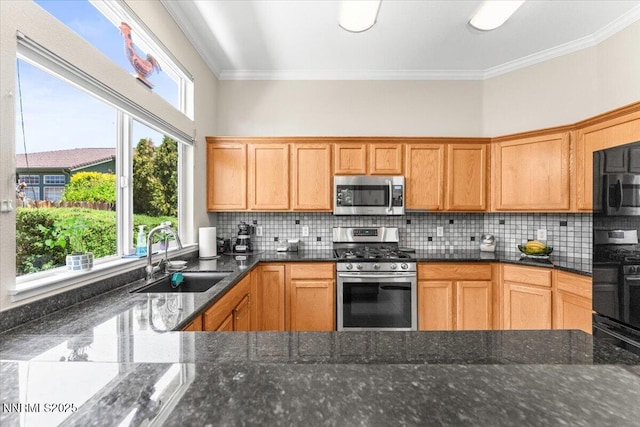 1328 Windridge Dr, Carson City, NV 89706 - kitchen featuring stainless steel appliances, a sink, ornamental molding, decorative backsplash, and dark stone counters