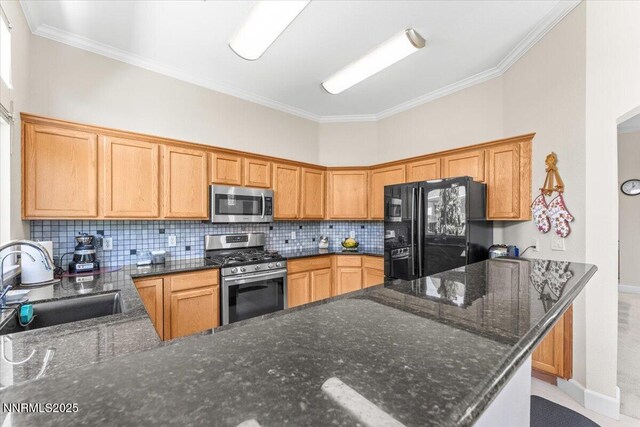 1328 Windridge Dr, Carson City, NV 89706 - kitchen with appliances with stainless steel finishes, a sink, ornamental molding, tasteful backsplash, and dark stone countertops
