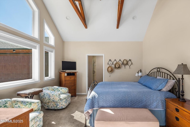 2607 Bowers Rd, Gardnerville, NV 89410 - bedroom featuring light colored carpet and high vaulted ceiling