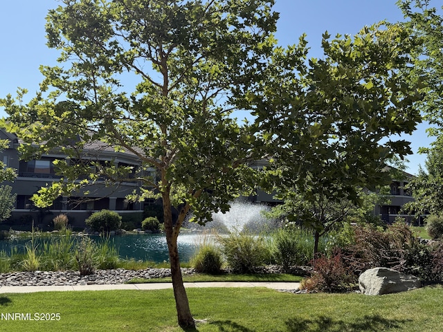 9900 Wilbur May Pkwy Apt 4701, Reno, NV 89521 - photo 23