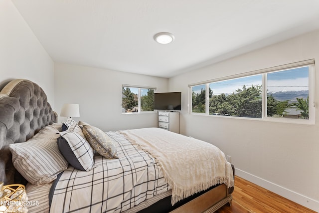 13820 Virginia Foothills Dr, Reno, NV 89521 - bedroom featuring baseboards and wood finished floors