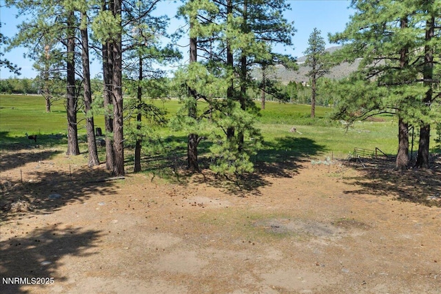 16205 Callahan Rd, Reno, NV 89511 - photo 32