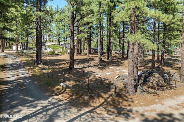 16205 Callahan Rd, Reno, NV 89511 - photo 47