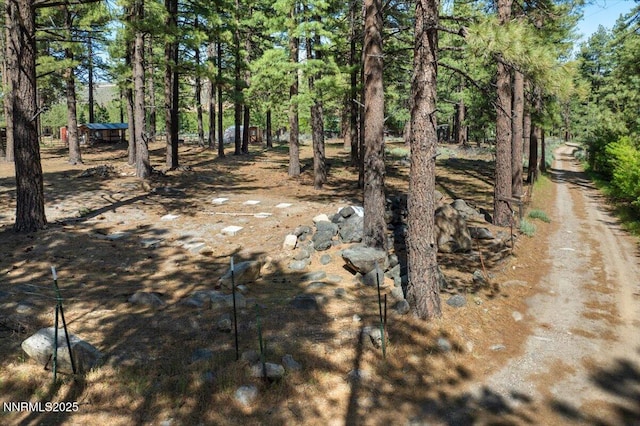 16205 Callahan Rd, Reno, NV 89511 - photo 48