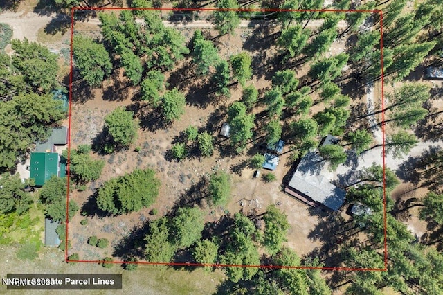 16205 Callahan Rd, Reno, NV 89511 - photo 50