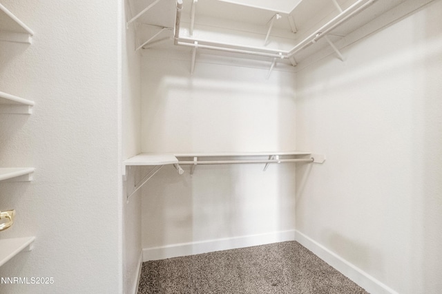 6638 Aston Cir, Sparks, NV 89436 - spacious closet featuring carpet floors