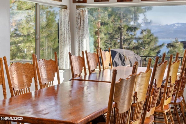 610 Don Dr, Zephyr Cove, NV 89448 - view of dining area