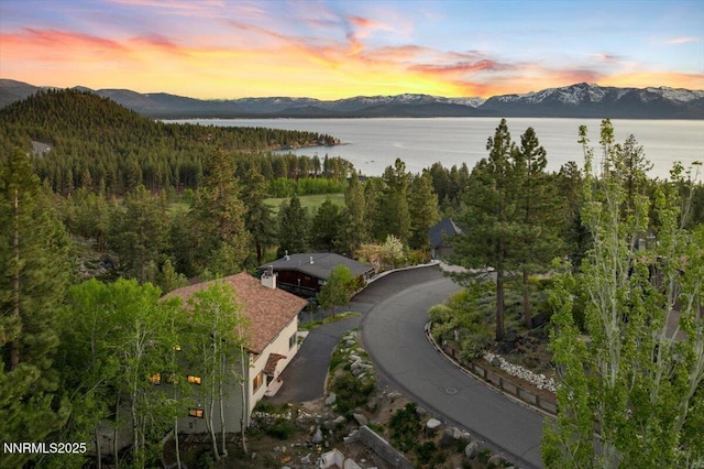 610 Don Dr, Zephyr Cove, NV 89448 - view of mountain background with a heavily wooded area and a large body of water