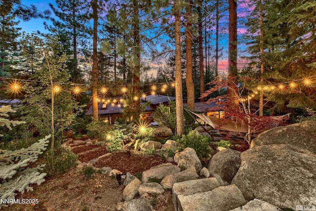 259 Mc Faul Ct, Zephyr Cove, NV 89448 - view of yard