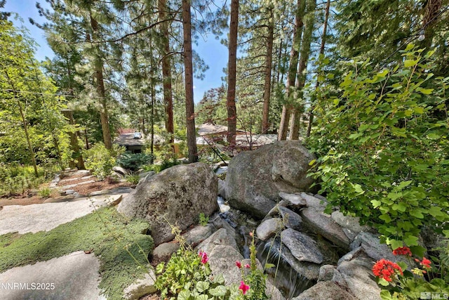 259 Mc Faul Ct, Zephyr Cove, NV 89448 - view of yard