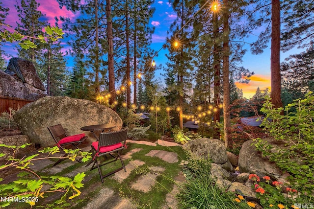 259 Mc Faul Ct, Zephyr Cove, NV 89448 - view of yard at dusk