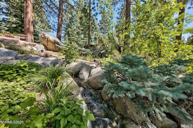 259 Mc Faul Ct, Zephyr Cove, NV 89448 - view of yard