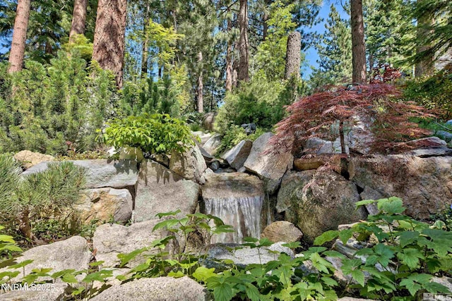 259 Mc Faul Ct, Zephyr Cove, NV 89448 - view of undeveloped land