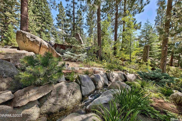 259 Mc Faul Ct, Zephyr Cove, NV 89448 - view of yard