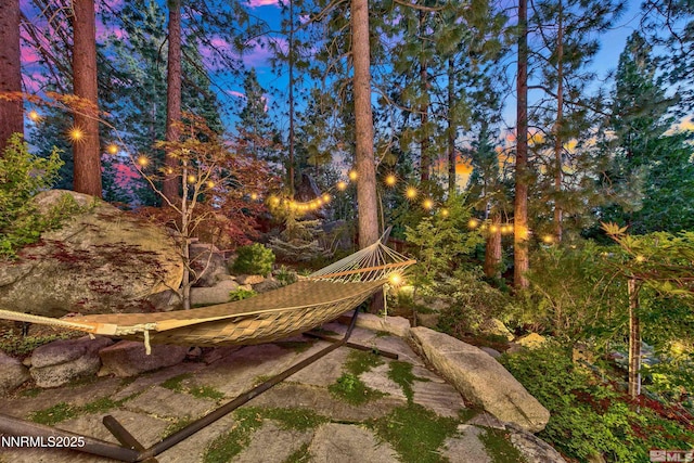 259 Mc Faul Ct, Zephyr Cove, NV 89448 - view of yard at dusk