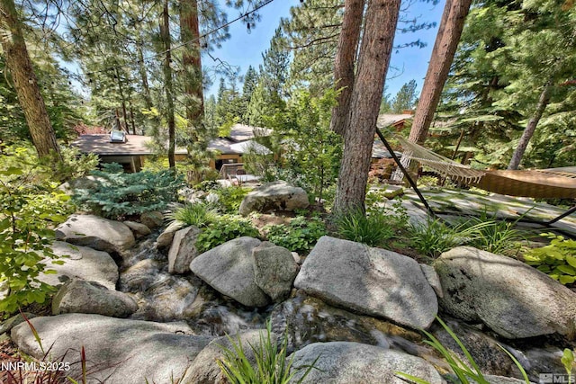 259 Mc Faul Ct, Zephyr Cove, NV 89448 - view of yard