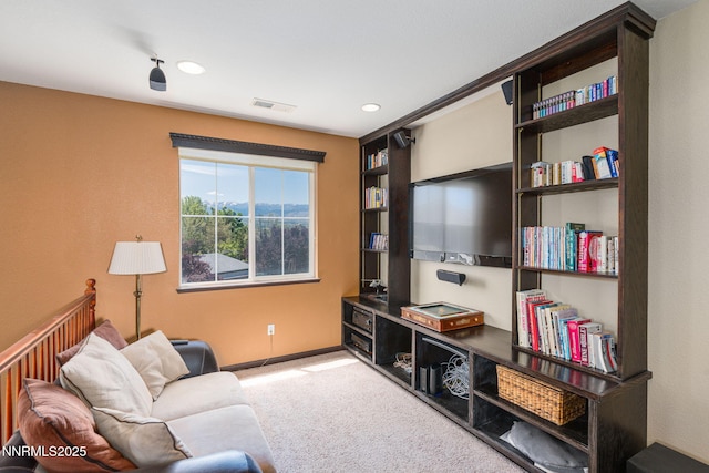 415 Ruffian Ct, Reno, NV 89521 - photo 16