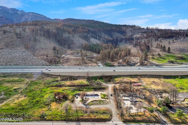 815 US Highway 395, Washoe Valley, NV 89704 - photo 4