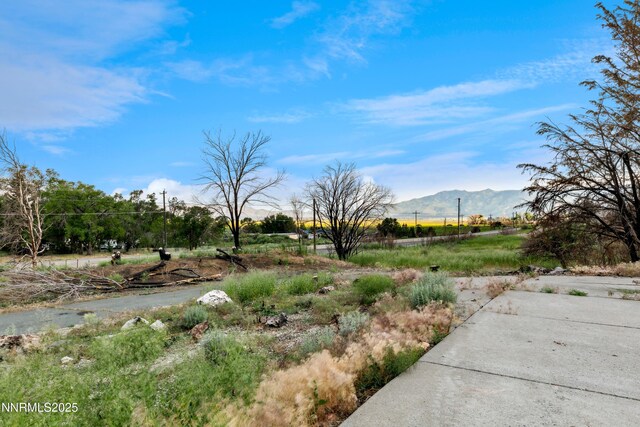 815 US Highway 395, Washoe Valley, NV 89704 - photo 13