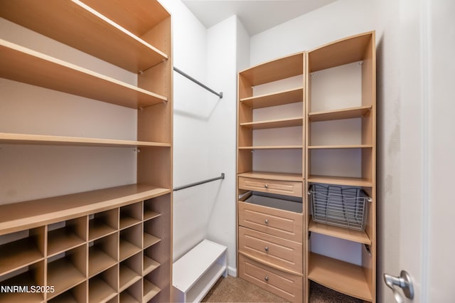 471 Shire Ct, Reno, NV 89521 - spacious closet featuring carpet floors