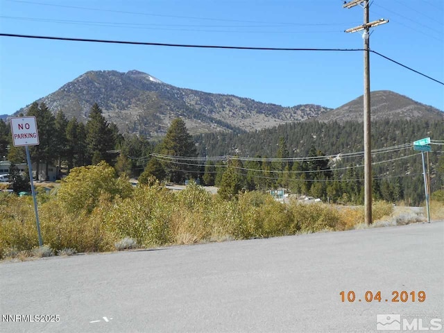 11000 Mount Rose Hwy, Reno, NV 89511 - mountain view