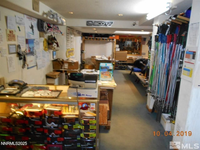 11000 Mount Rose Hwy, Reno, NV 89511 - view of storage area
