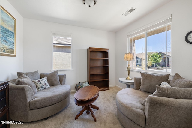 111 Cosser St, Dayton, NV 89403 - photo 24