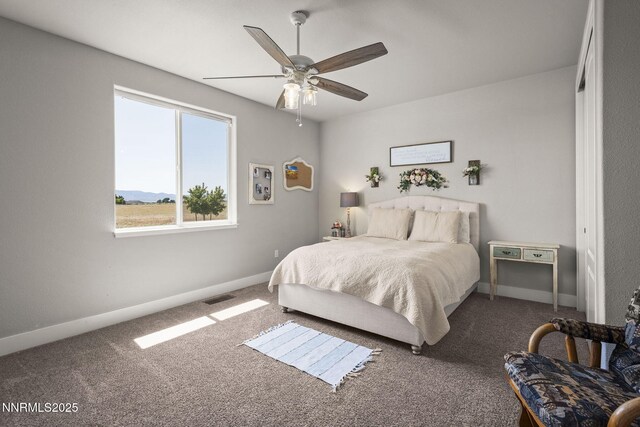 390 Angelina Cir, Smith Valley, NV 89444 - photo 18