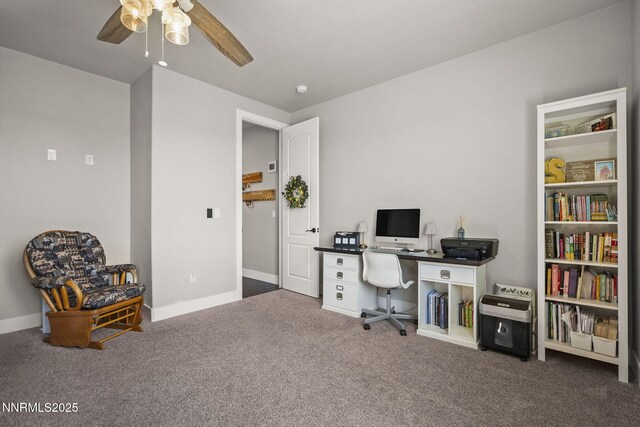 390 Angelina Cir, Smith Valley, NV 89444 - photo 19