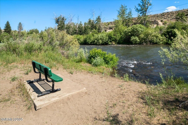 1835 Stoneridge Dr, Verdi, NV 89439 - view of community
