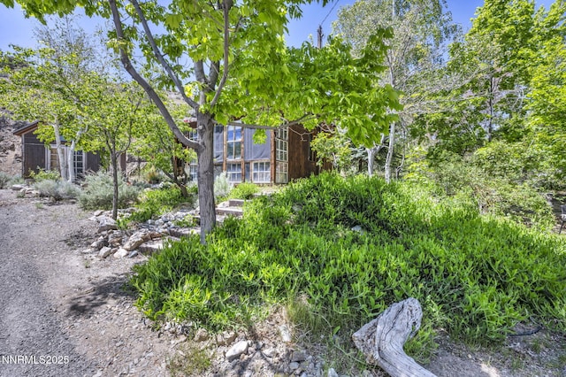 285 Main St, Silver City, NV 89428 - view of yard